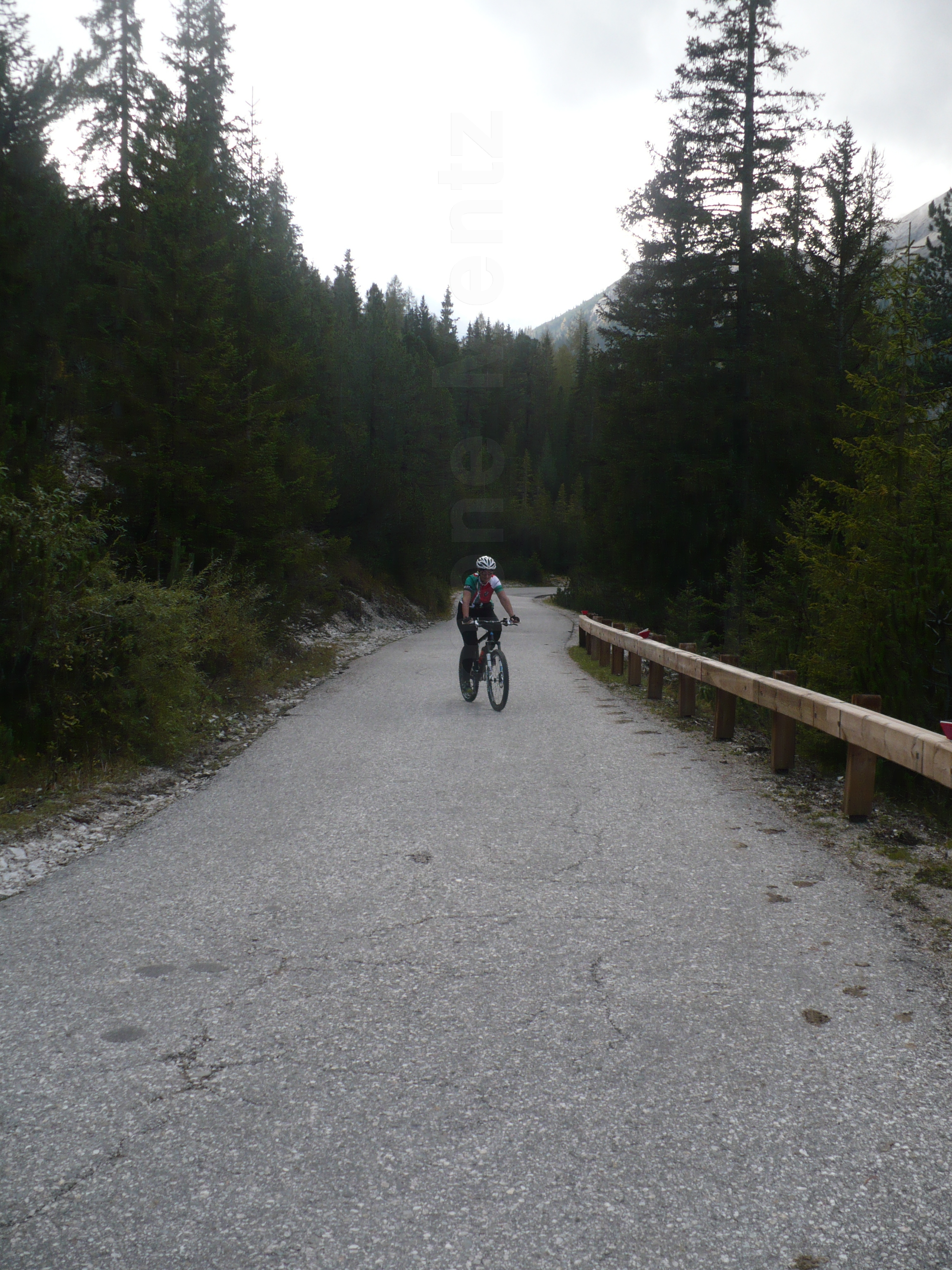 Images/3 Suedtirol_ Ploetzwiese (144b).jpg